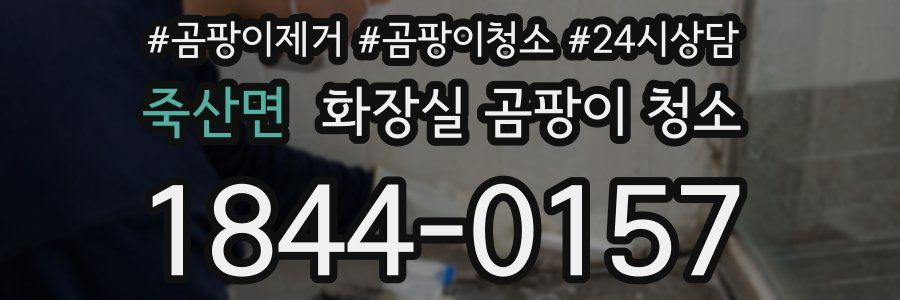 죽산면 화장실 곰팡이 청소