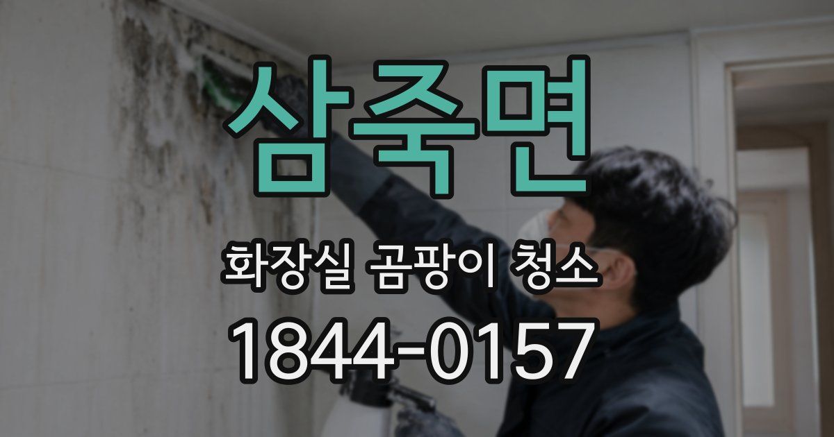 삼죽면 화장실 곰팡이 청소