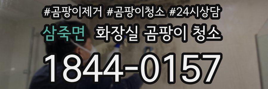 삼죽면 화장실 곰팡이 청소