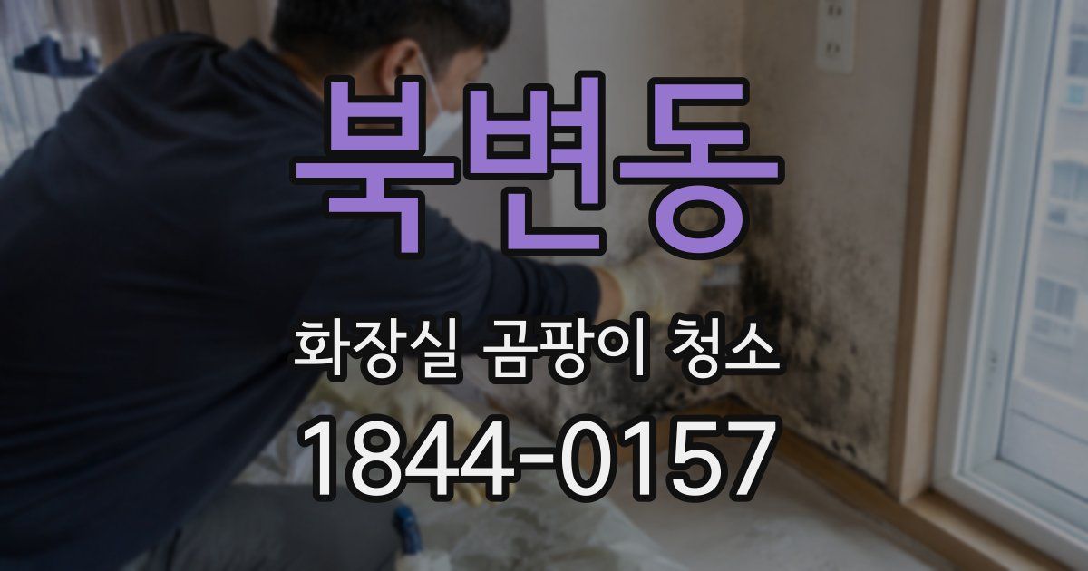 북변동 화장실 곰팡이 청소
