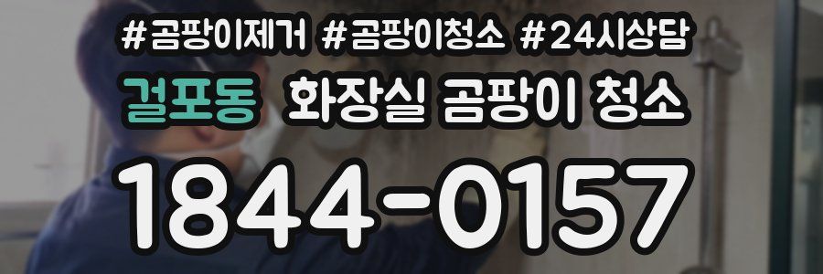걸포동 화장실 곰팡이 청소