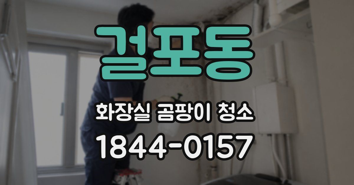 걸포동 화장실 곰팡이 청소