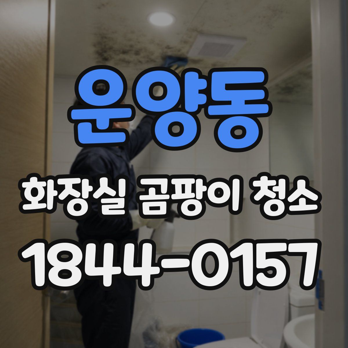 운양동 화장실 곰팡이 청소