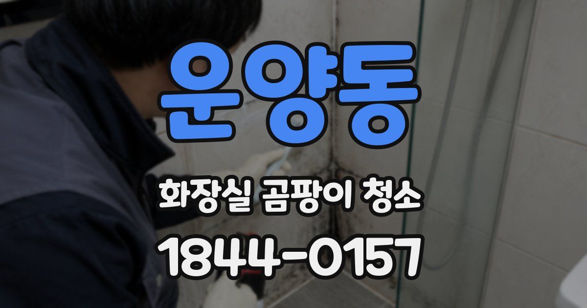 운양동 화장실 곰팡이 청소
