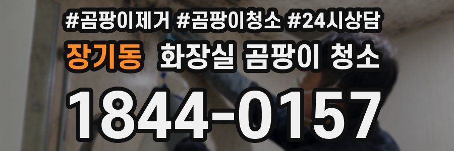 장기동 화장실 곰팡이 청소