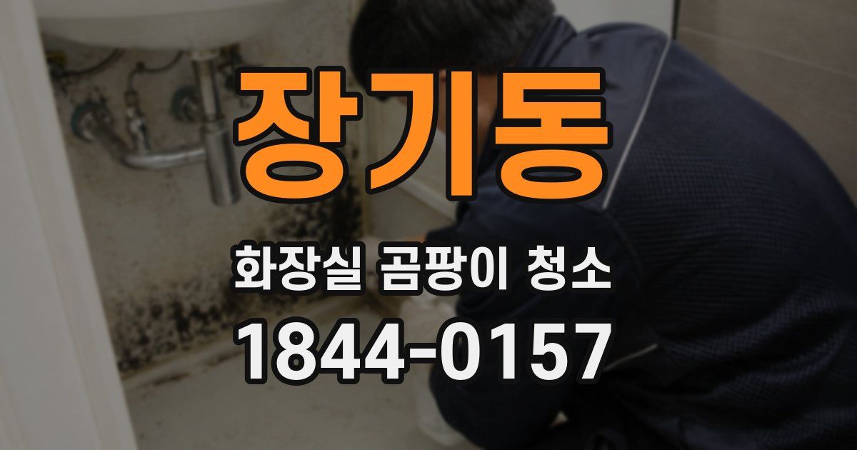 장기동 화장실 곰팡이 청소