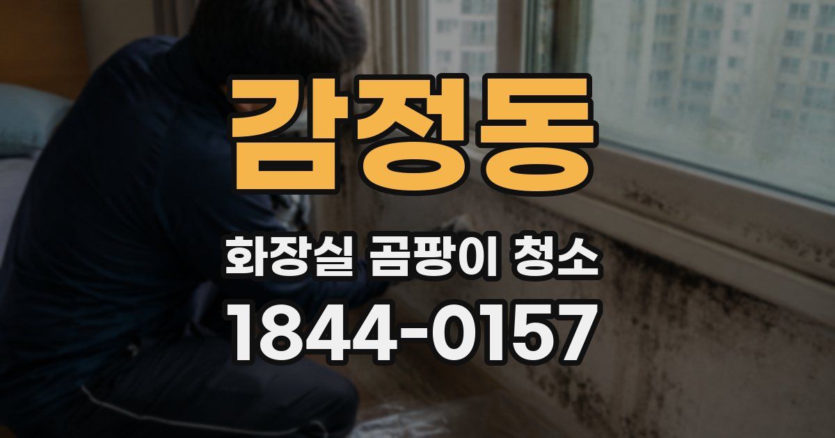감정동 화장실 곰팡이 청소