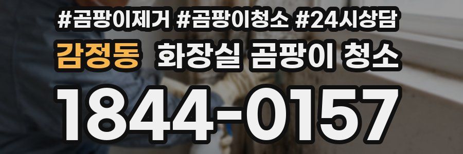 감정동 화장실 곰팡이 청소
