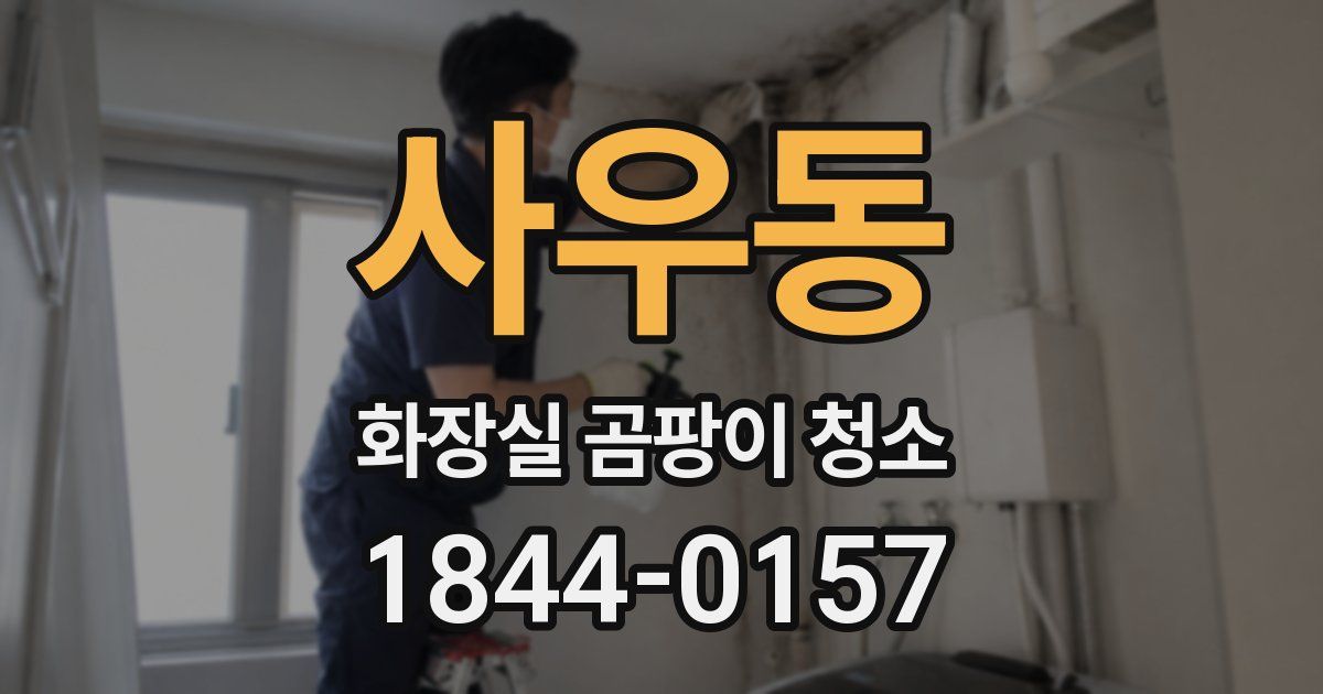 사우동 화장실 곰팡이 청소