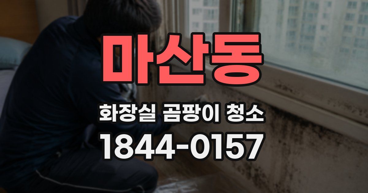 마산동 화장실 곰팡이 청소
