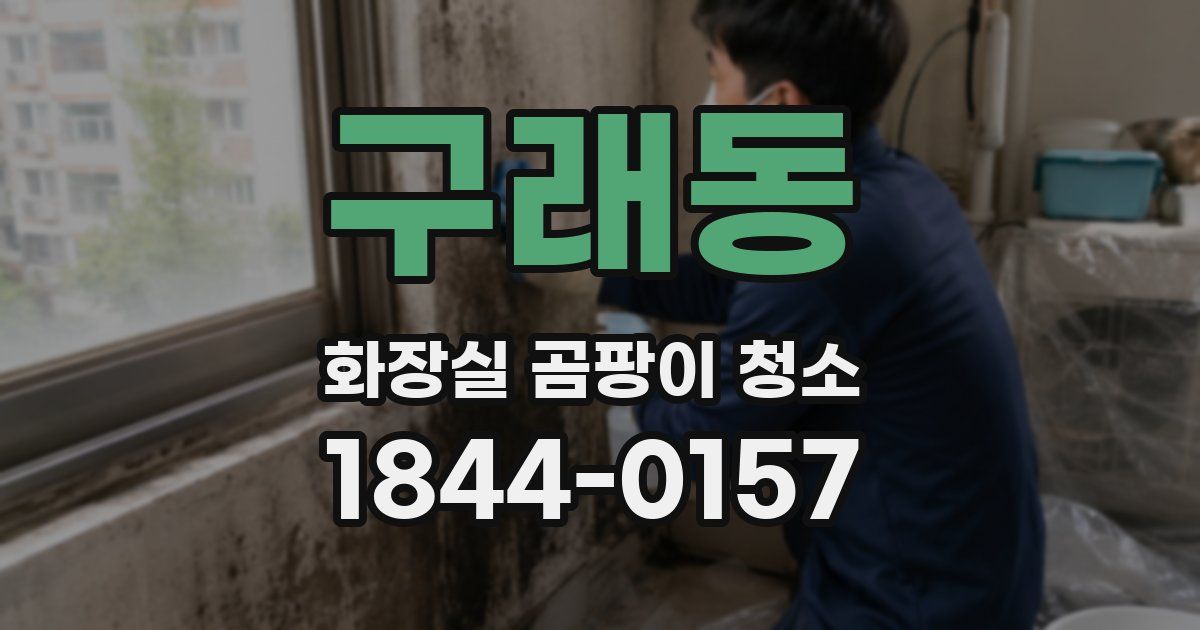 구래동 화장실 곰팡이 청소