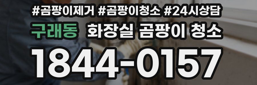 구래동 화장실 곰팡이 청소