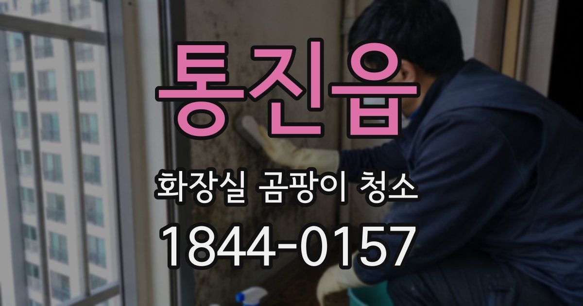 통진읍 화장실 곰팡이 청소