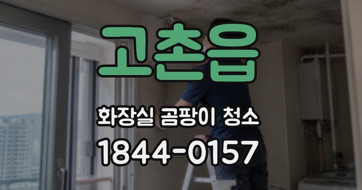 고촌읍 화장실 곰팡이 청소