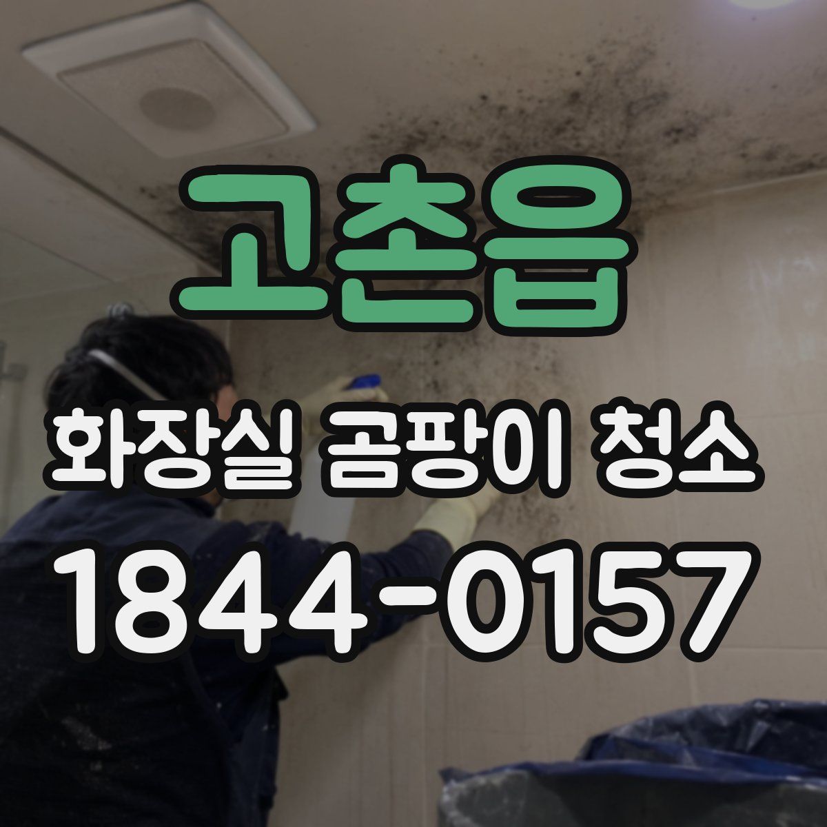 고촌읍 화장실 곰팡이 청소