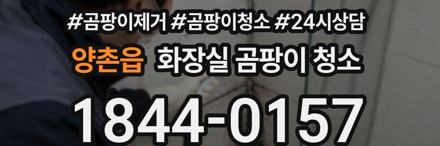 양촌읍 화장실 곰팡이 청소