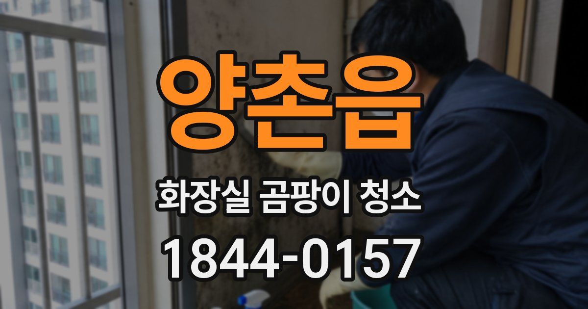 양촌읍 화장실 곰팡이 청소
