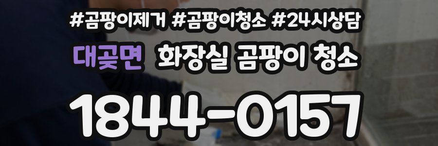 대곶면 화장실 곰팡이 청소