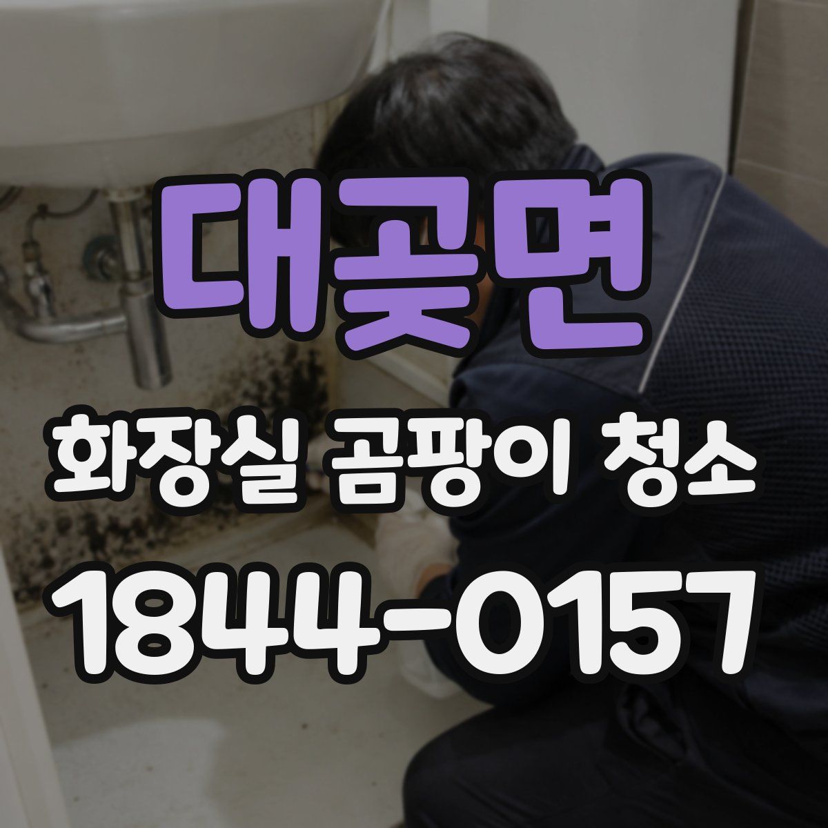 대곶면 화장실 곰팡이 청소