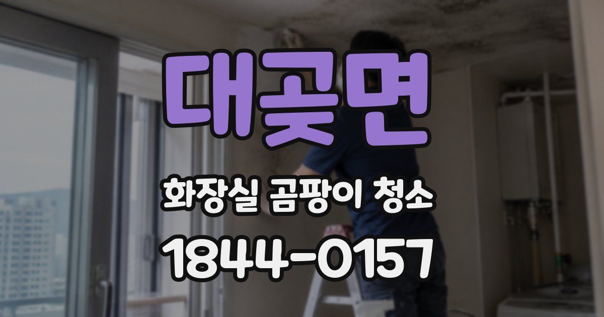 대곶면 화장실 곰팡이 청소