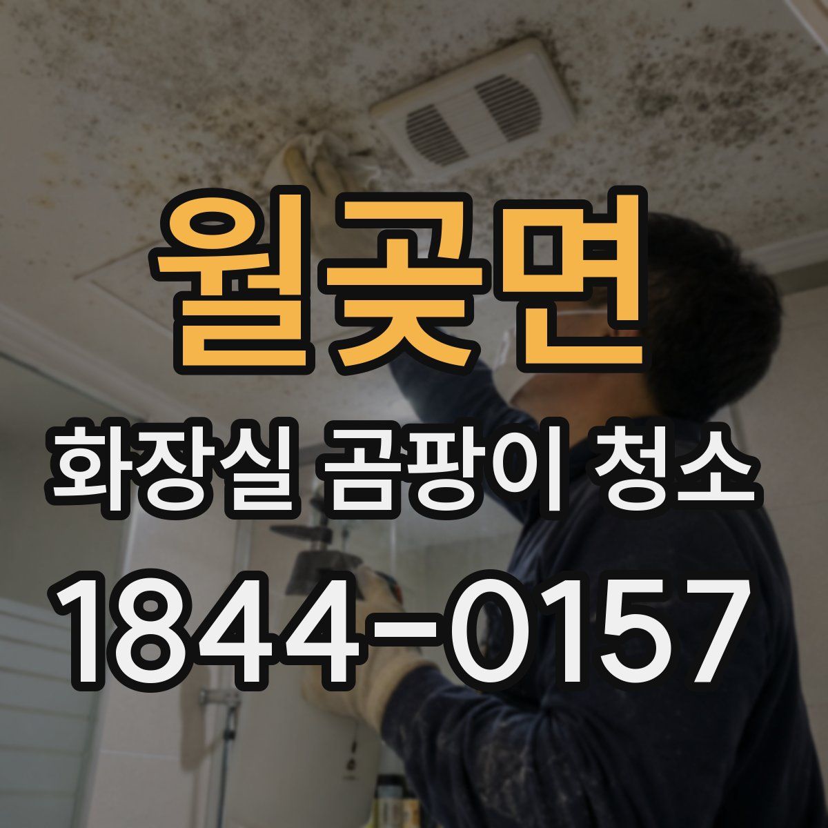월곶면 화장실 곰팡이 청소