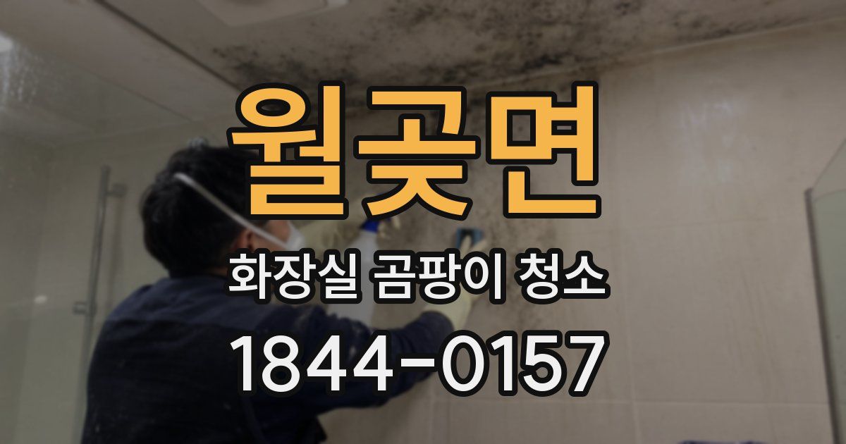 월곶면 화장실 곰팡이 청소
