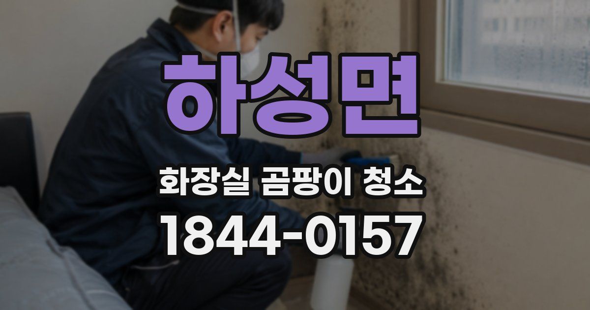 하성면 화장실 곰팡이 청소
