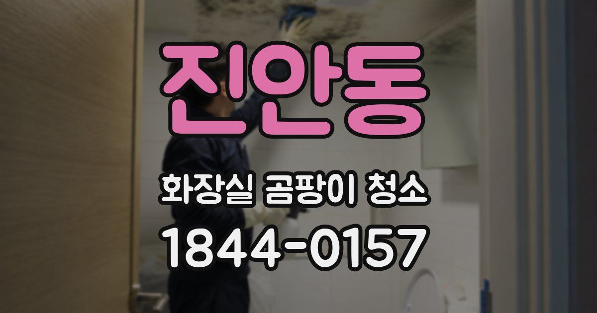 진안동 화장실 곰팡이 청소
