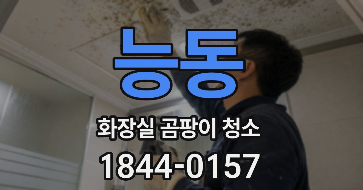 능동 화장실 곰팡이 청소