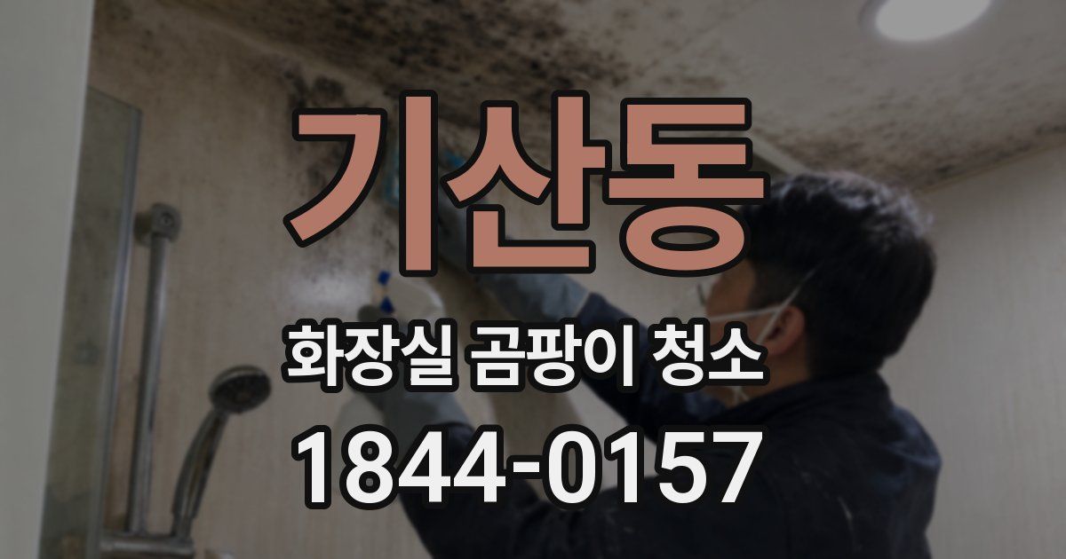 기산동 화장실 곰팡이 청소