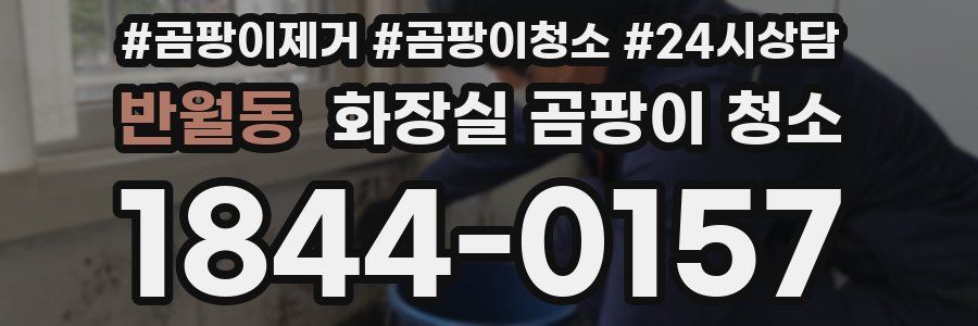 반월동 화장실 곰팡이 청소