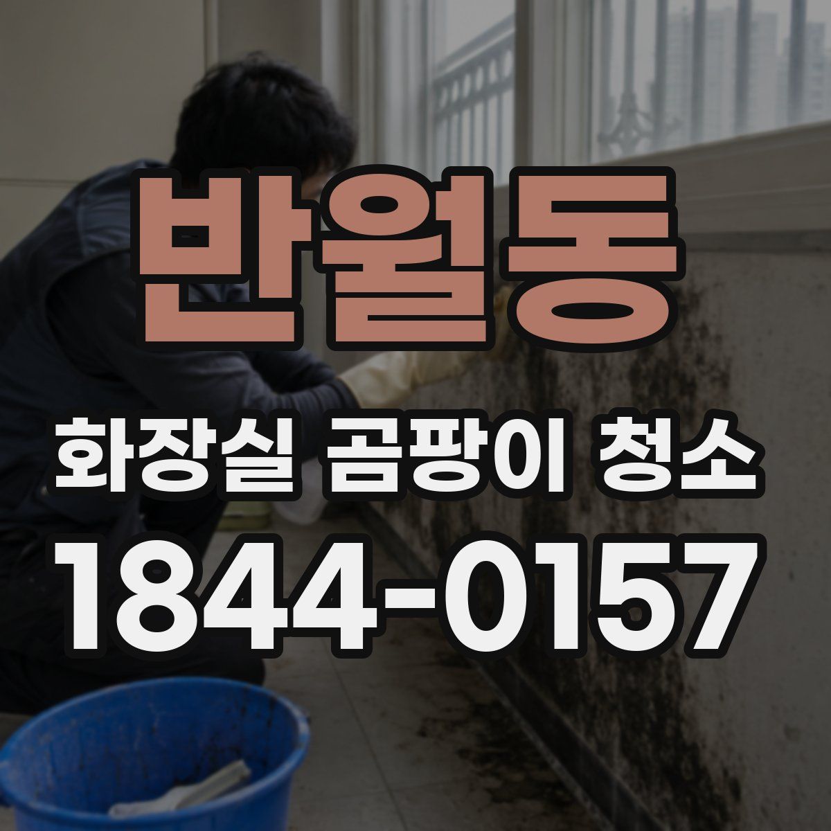 반월동 화장실 곰팡이 청소