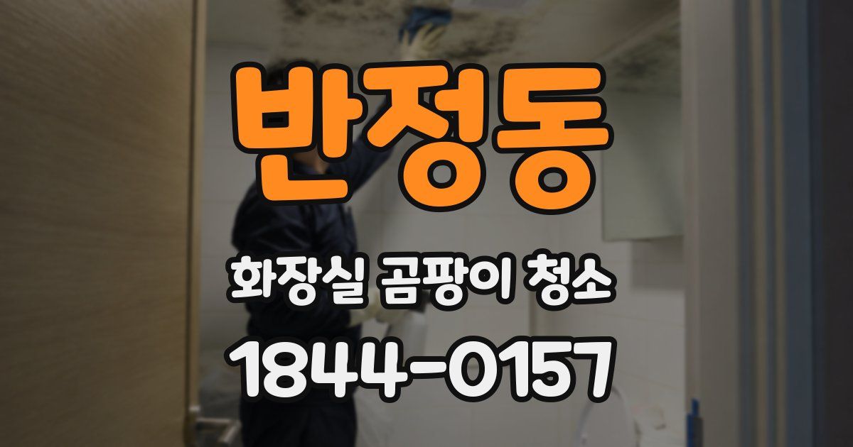 반정동 화장실 곰팡이 청소