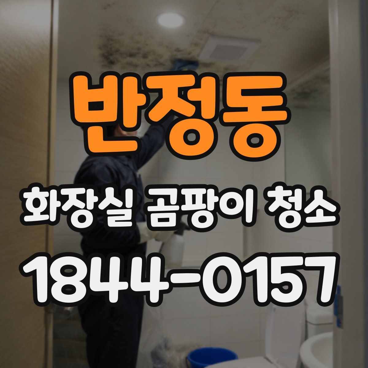 반정동 화장실 곰팡이 청소