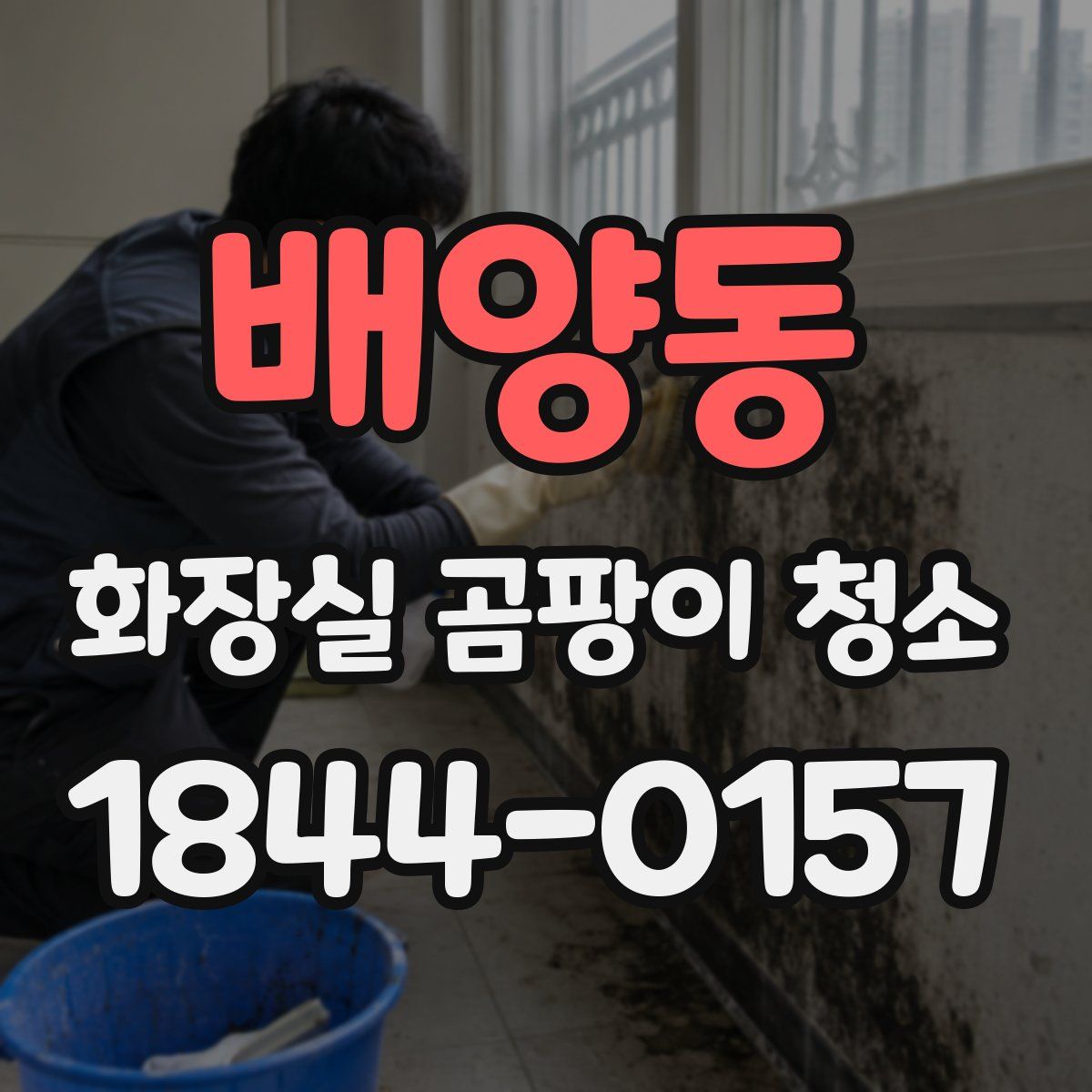 배양동 화장실 곰팡이 청소