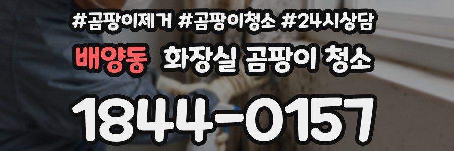 배양동 화장실 곰팡이 청소