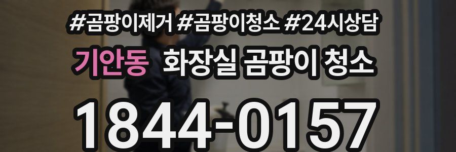 기안동 화장실 곰팡이 청소