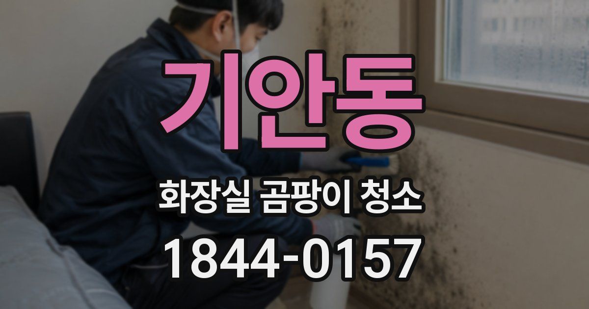 기안동 화장실 곰팡이 청소