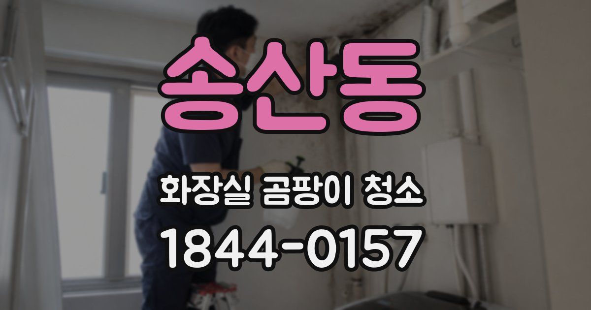 송산동 화장실 곰팡이 청소