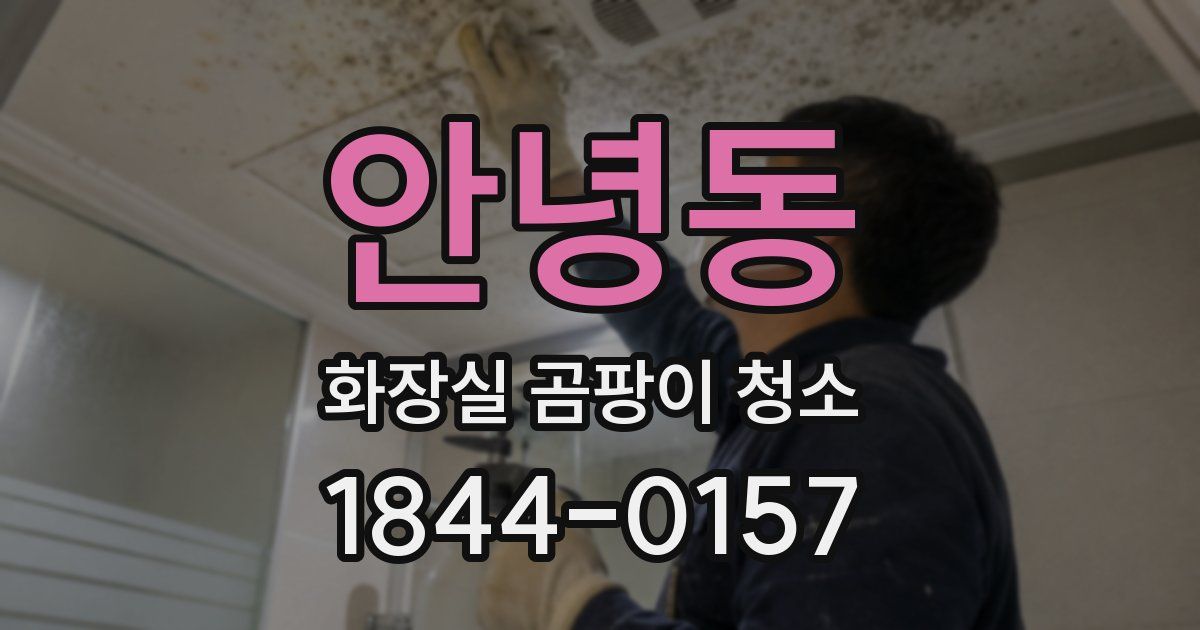 안녕동 화장실 곰팡이 청소