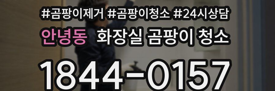 안녕동 화장실 곰팡이 청소