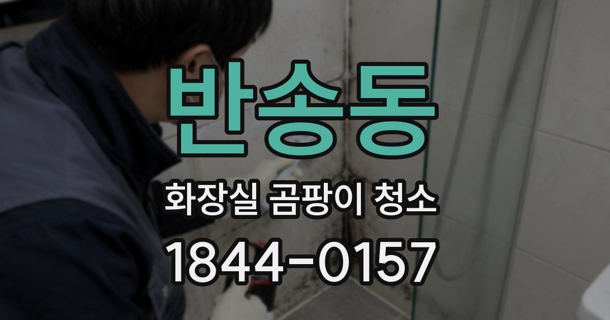 반송동 화장실 곰팡이 청소