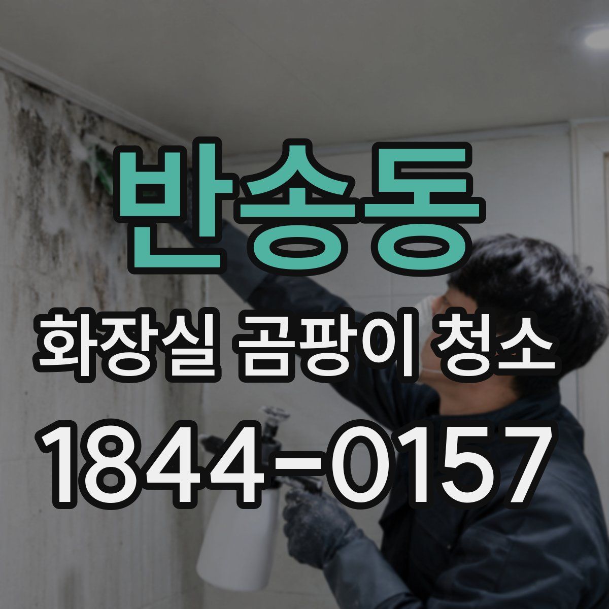 반송동 화장실 곰팡이 청소