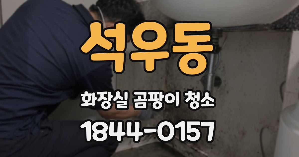 석우동 화장실 곰팡이 청소