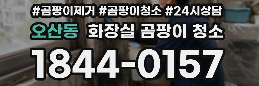 오산동 화장실 곰팡이 청소