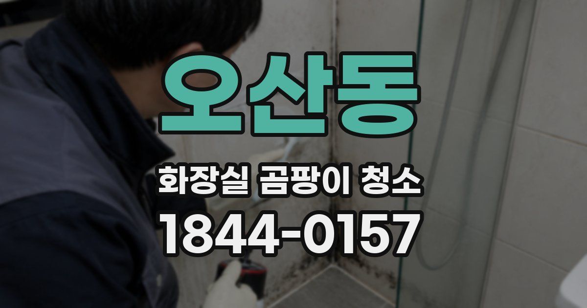 오산동 화장실 곰팡이 청소