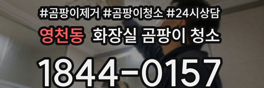 영천동 화장실 곰팡이 청소