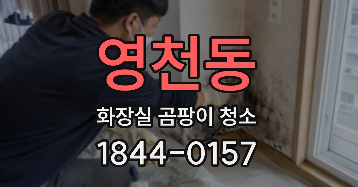 영천동 화장실 곰팡이 청소