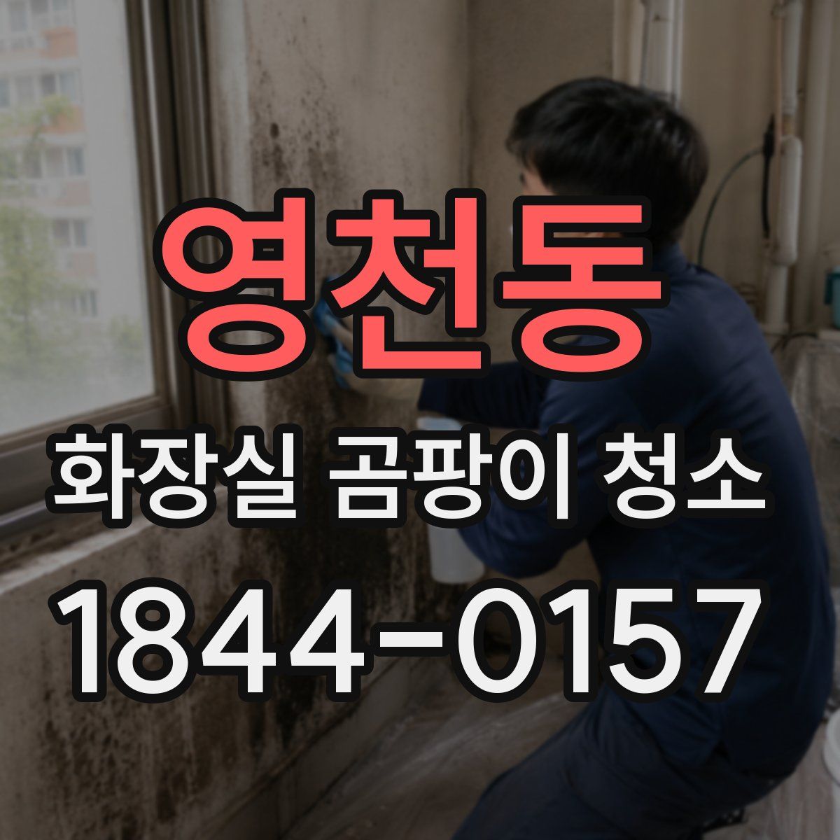 영천동 화장실 곰팡이 청소