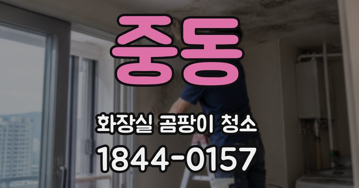 중동 화장실 곰팡이 청소